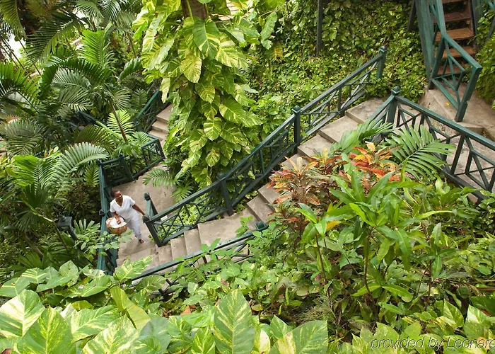 Couples Sans Souci (adults Only) Resort Ocho Rios